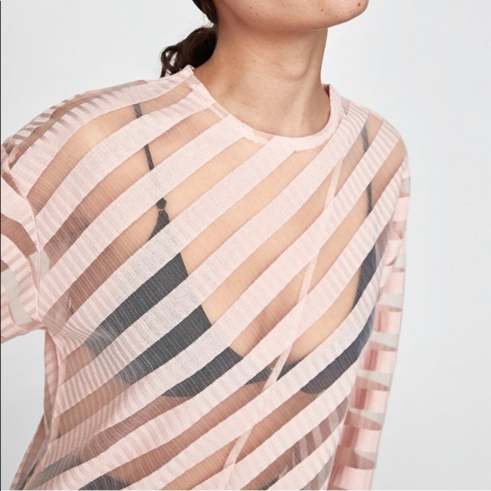 Zara Pink Sheer Top